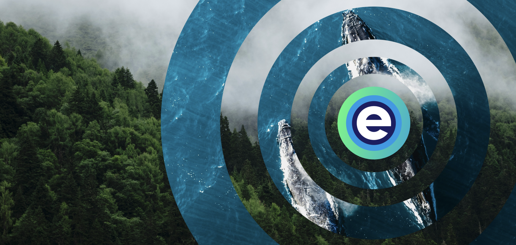 Nature Footprint press release banner featuring a lush green forest with low-hanging mist on the left, blending into a circular target/ripple graphic on the right. The concentric circles reveal imagery of ocean water and a breaching whale. At the centre is a logo: a dark navy circle with a white letter "e", surrounded by a green and teal ring.