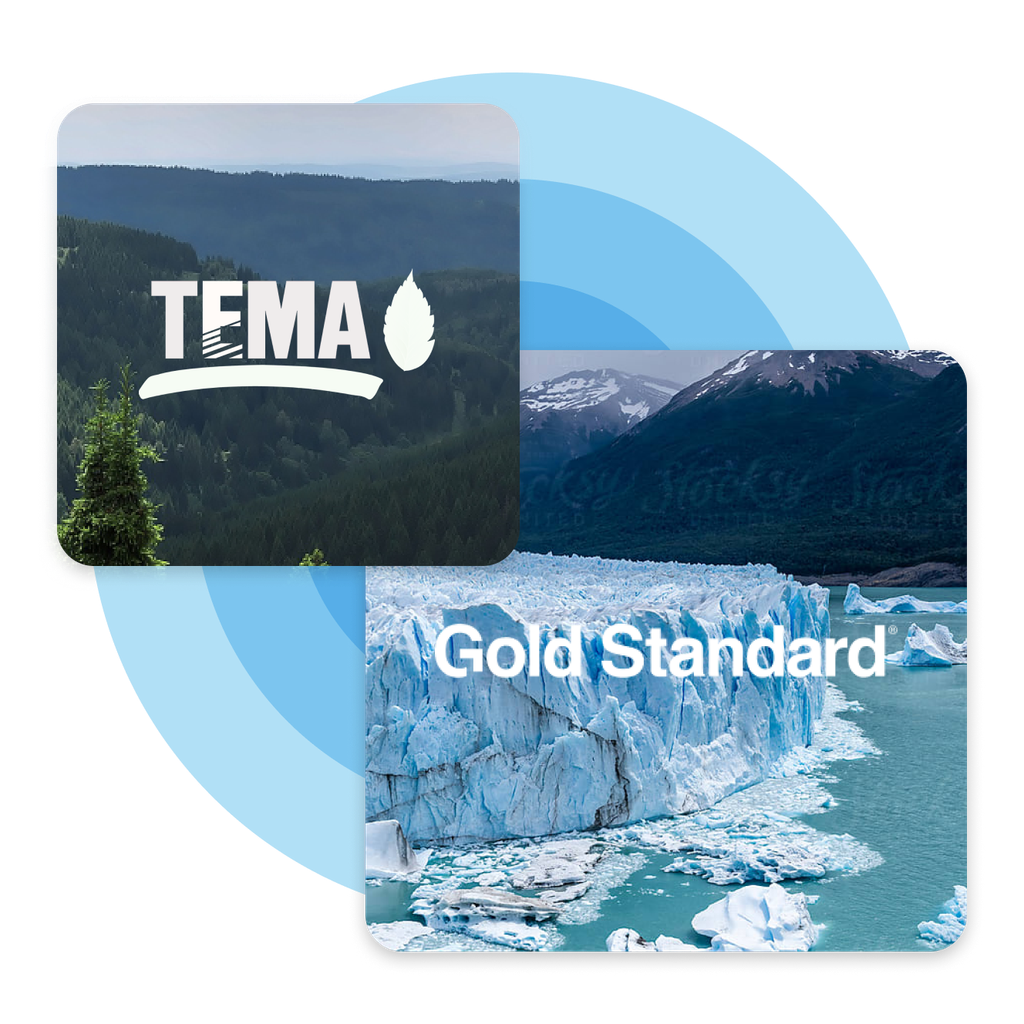 TEMA and Gold Standard composite image