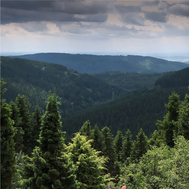 Long-term memorial forests across Türkiye